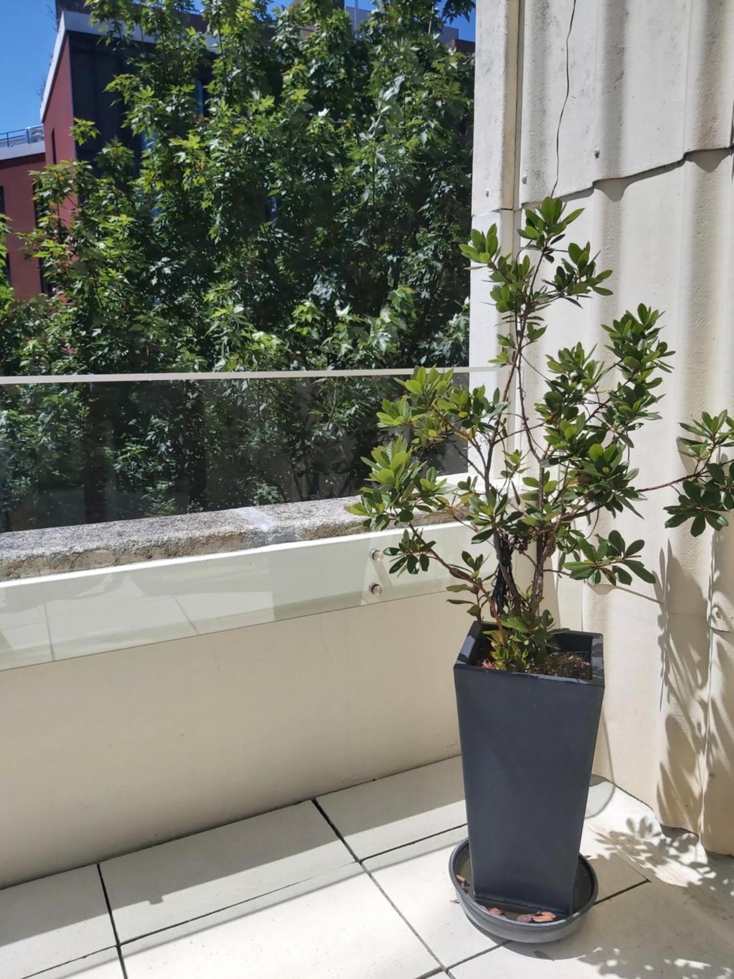 Porto Terrace Apartment 외부 사진